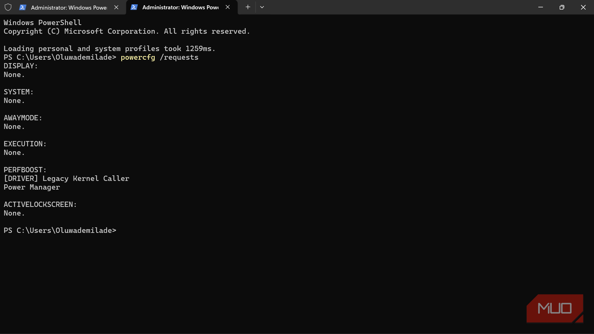 Windows PowerShell running powercfg requests command