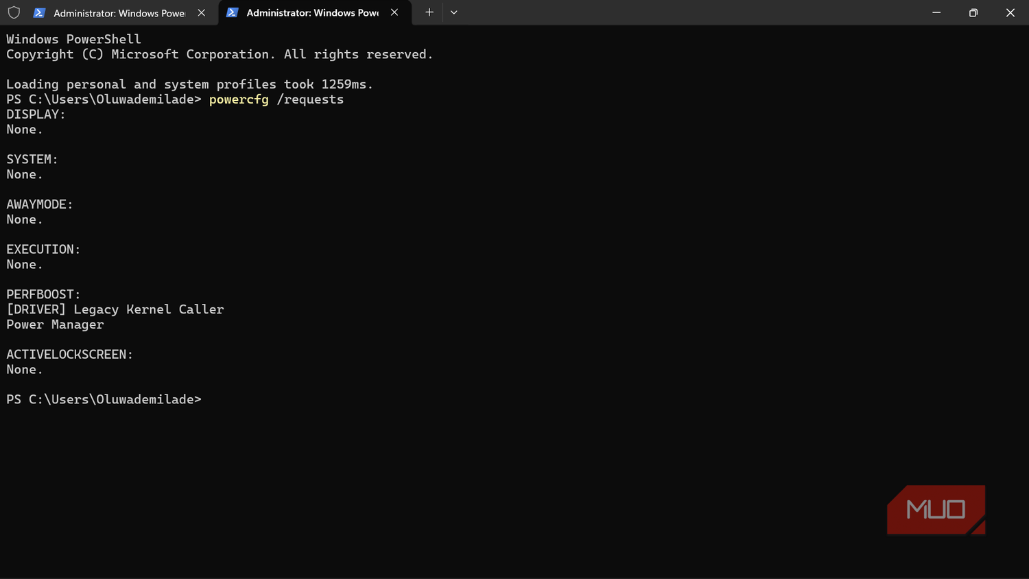 Windows PowerShell running powercfg requests command