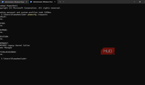 Windows PowerShell running powercfg requests command