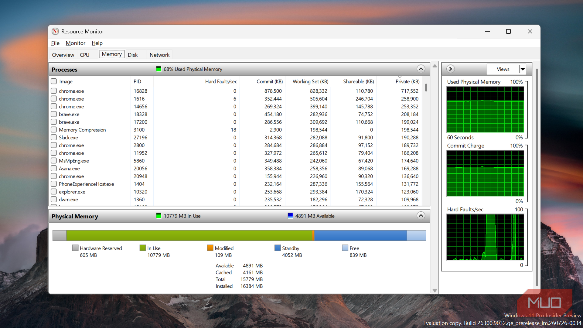 Windows Resource Monitor showing memory usage