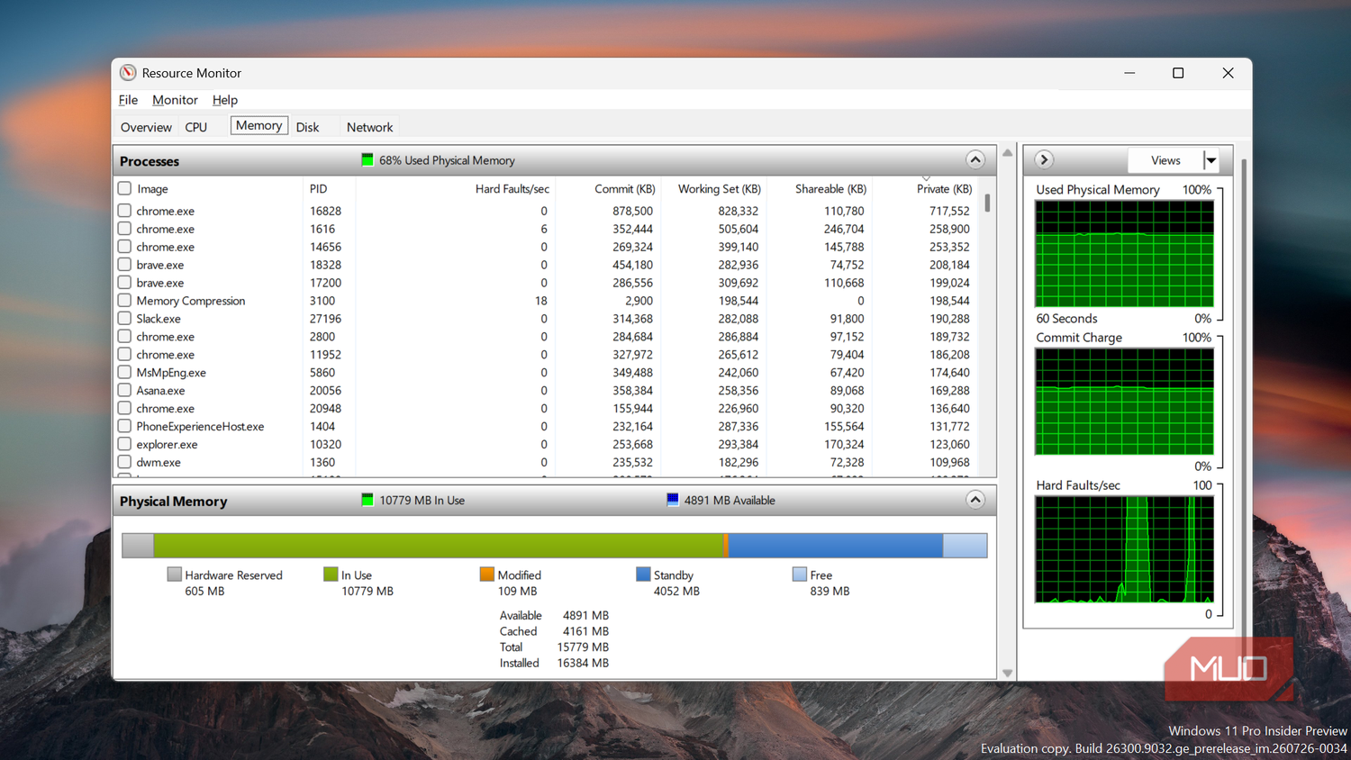 Windows Resource Monitor showing memory usage