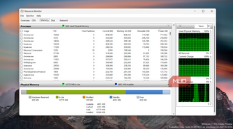Windows Resource Monitor showing memory usage