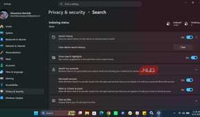 Windows Search section in Settings