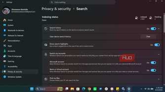 Windows Search section in Settings