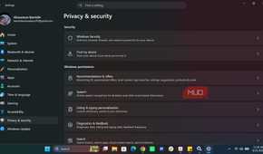 Windows Settings Privacy and Security page