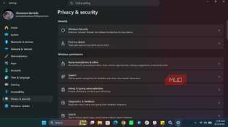 Windows Settings Privacy and Security page