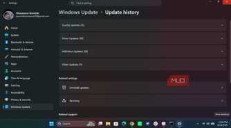 Windows update history page
