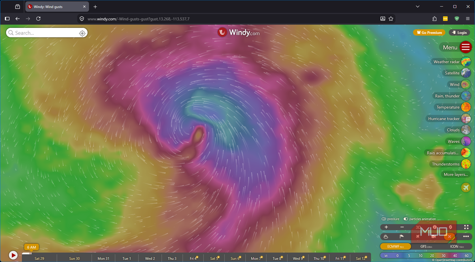 Windy.com wind gust overlay showing low pressure system