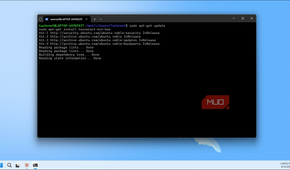 Wsl Terminal Running Apt Get Update And Tesseract Ocr Installation Commands