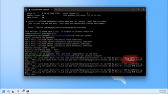 Wsl Ubuntu Terminal Running Sudo Apt Update With Cache Lock Errors