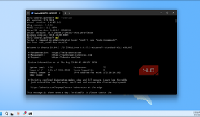 Wsl Ubuntu Terminal Session With System Information And Version Details