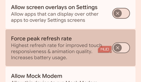 a screenshot of the developer options on pixel 8