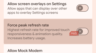 a screenshot of the developer options on pixel 8