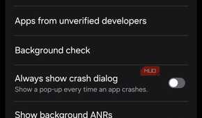 Android developer options showing app settings