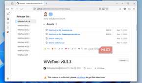Assets section on the ViVeTool GitHub page