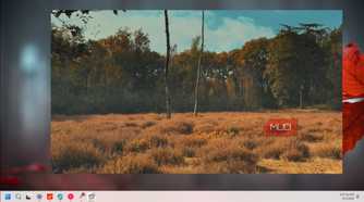 autumn field with birch trees and golden grass