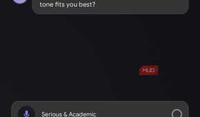 Boxlore asking the second set of preference questions