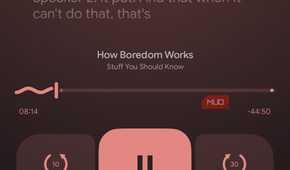 boxlore showing the transcript option with the player