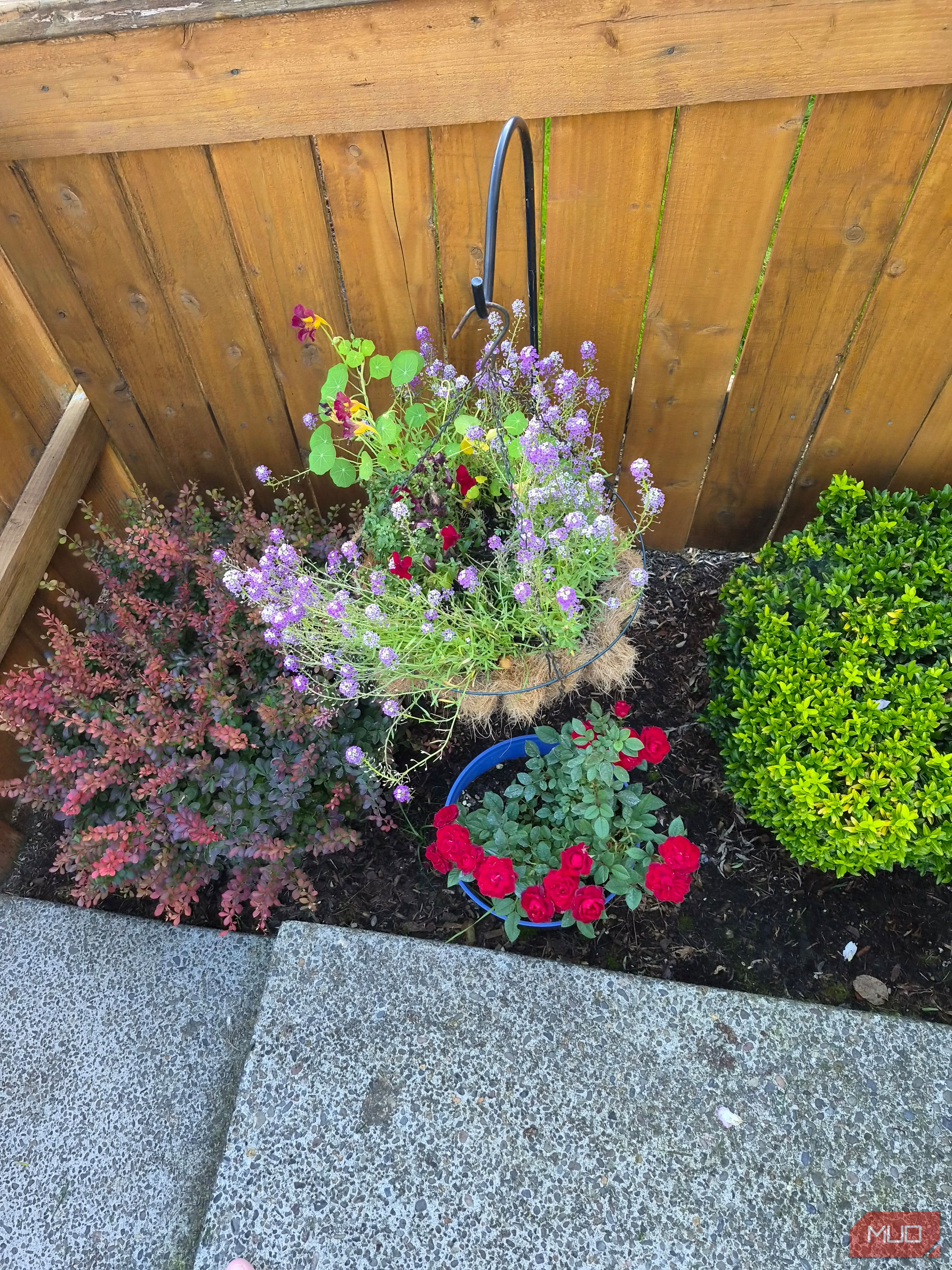 brightly colored flowers