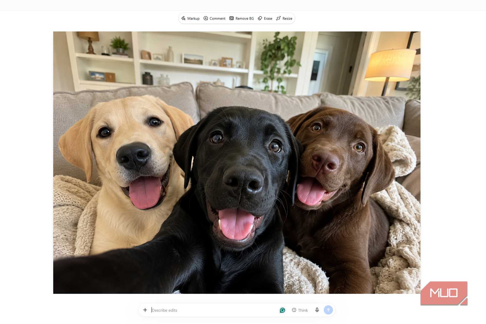 Three labrador retrievers with black, yellow, and chocolate coats sitting together 