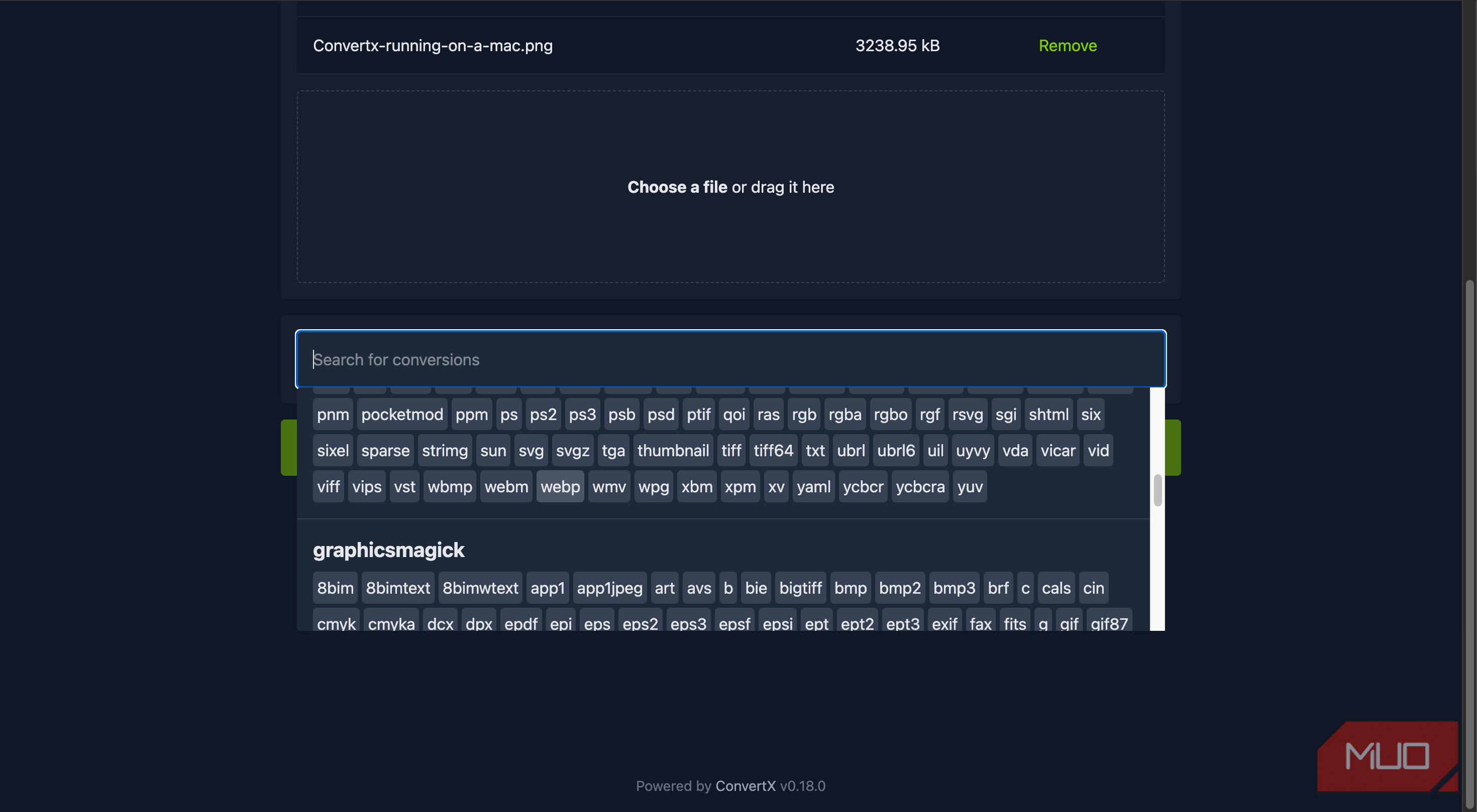 choosing the target format on ConvertX