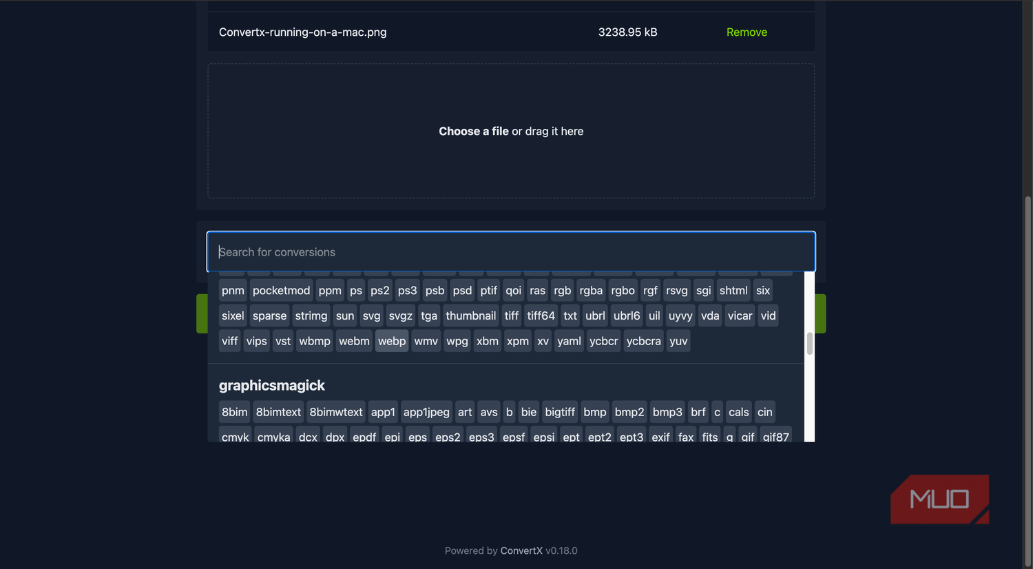 choosing the target format on ConvertX