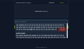 choosing the target format on ConvertX