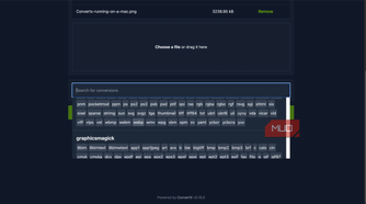 choosing the target format on ConvertX