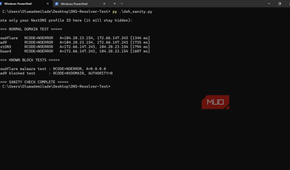 Clean DoH sanity check showing all four resolvers answering normally