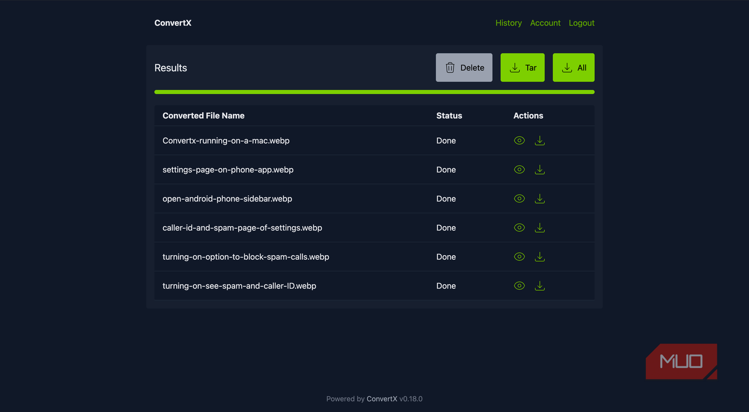 ConvertX showing the converted results