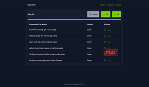 ConvertX showing the converted results