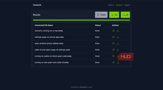 ConvertX showing the converted results