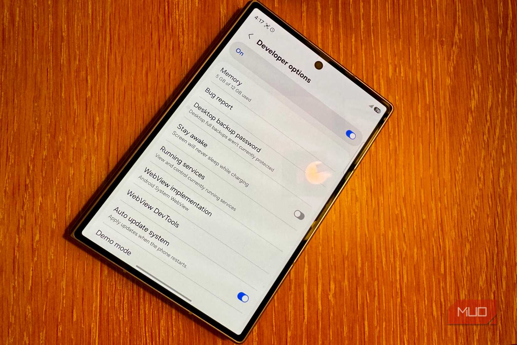 developer options samsung