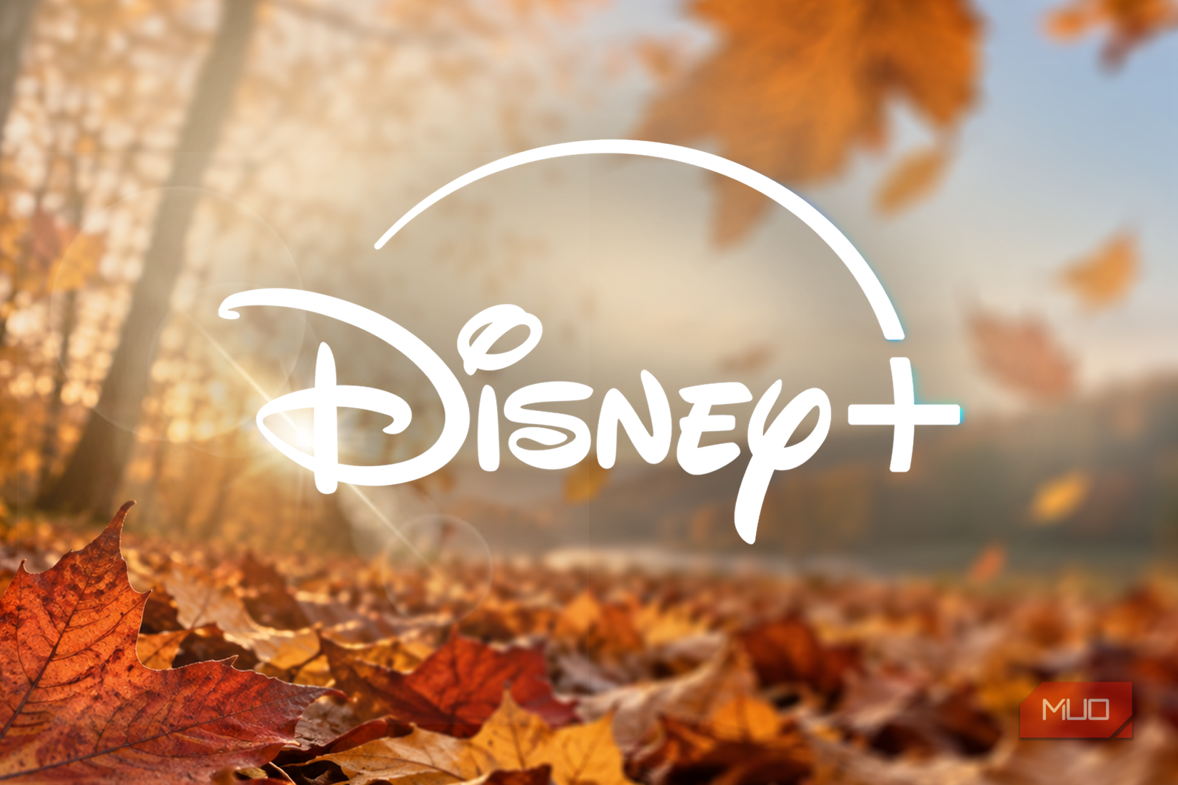 Disney+ logo over autumn leaves in warm sunlight.