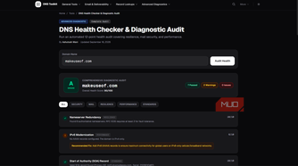 dns-toolkit-health-check-summary