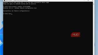 Enabling a feature using the vivetool enable command