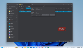 file pilot app downloads folder view with search results