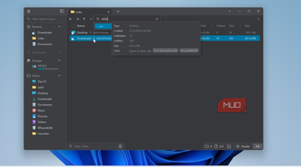 file pilot app downloads folder view with search results