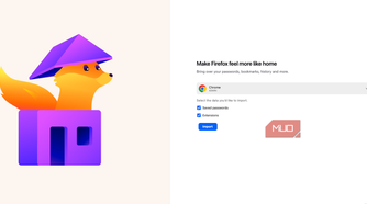 Firefox import data options.