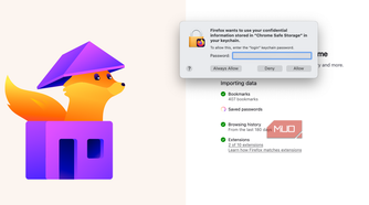 Firefox security check during import.