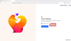 The Firefox welcome screen.