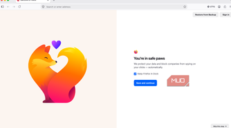 The Firefox welcome screen.