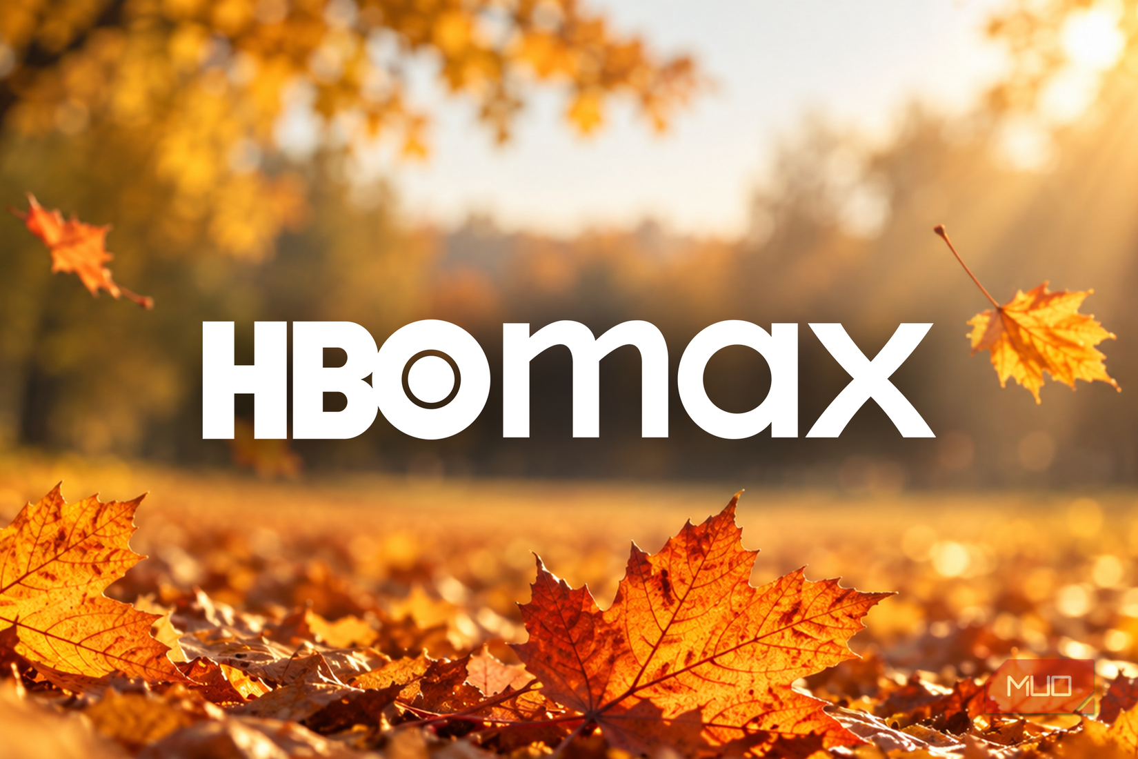 HBO Max logo surrounded by autumn leaves in warm sunlight.