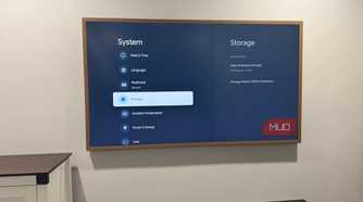 hisense-canvas-tv-system-storage-settings