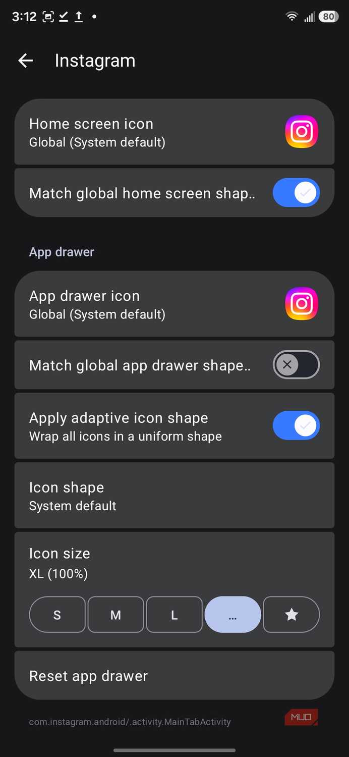 Instagram icon customization settings menu