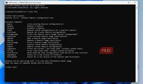 List of ViVeTool commands