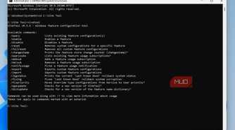 List of ViVeTool commands
