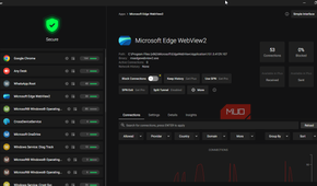 Microsoft Edge Webview2 on Portmaster