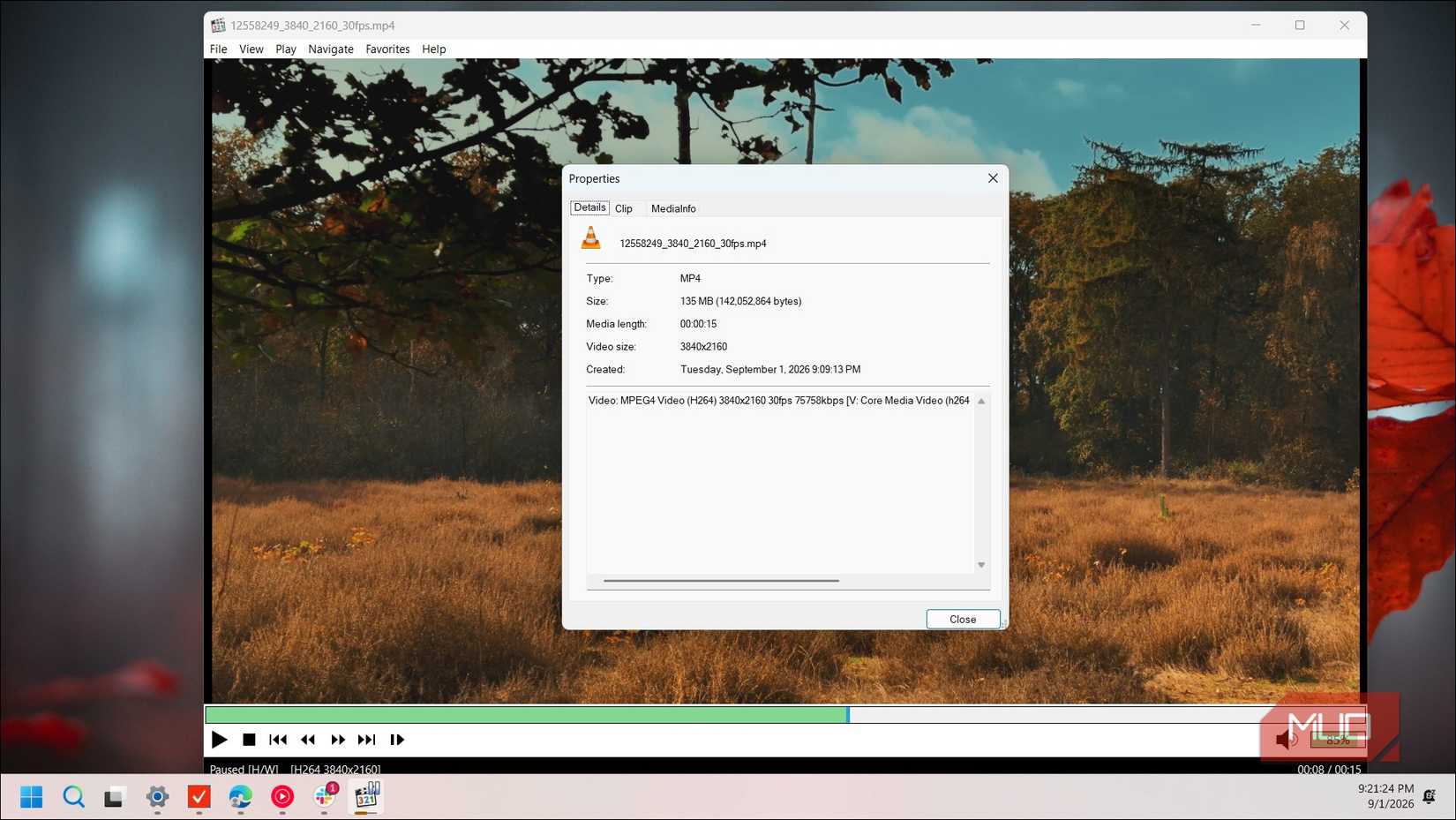 mpc hc media player video properties dialog showing 4k nature landscape footage