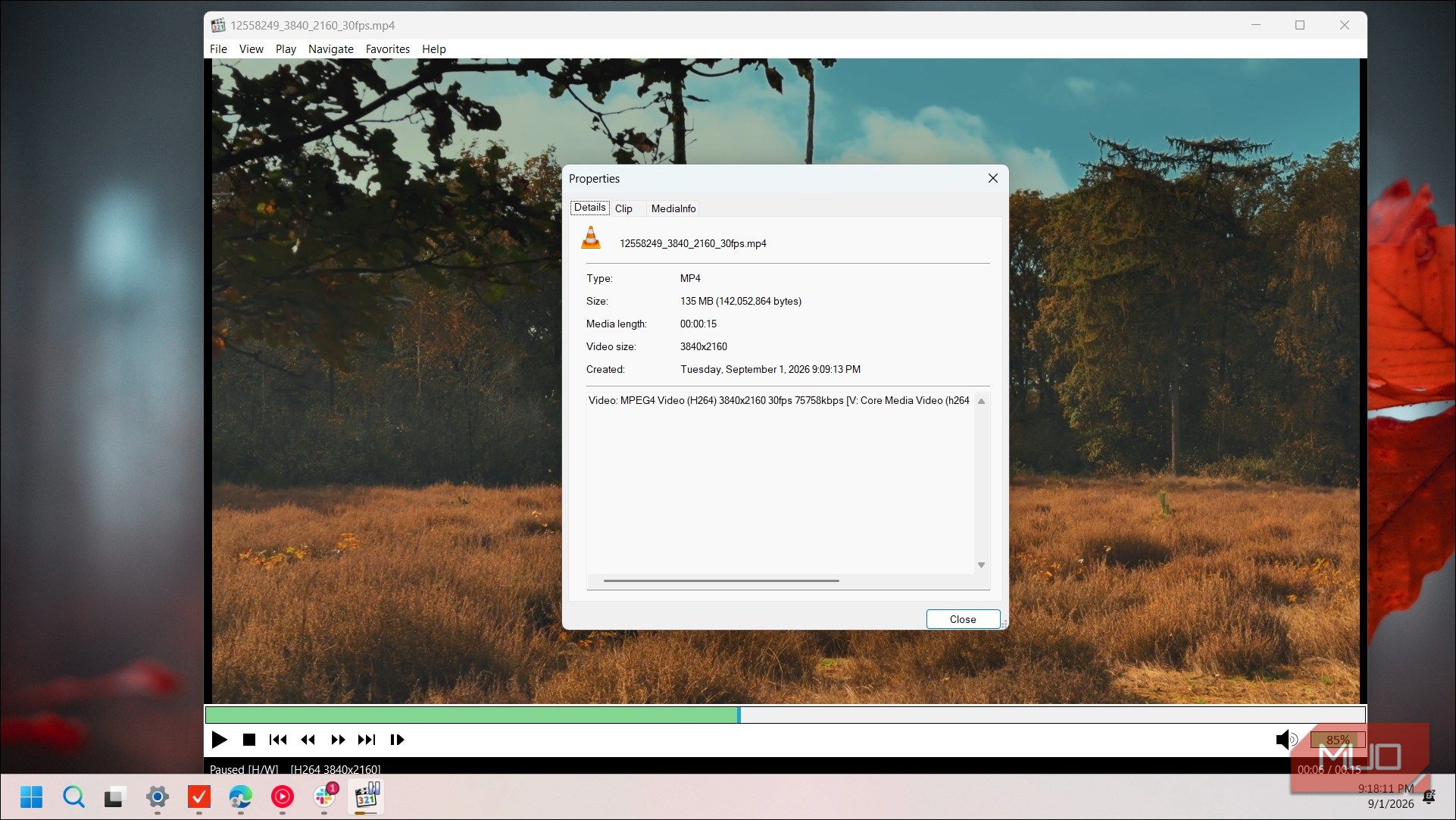 mpc hc video player properties dialog showing forest landscape video file details